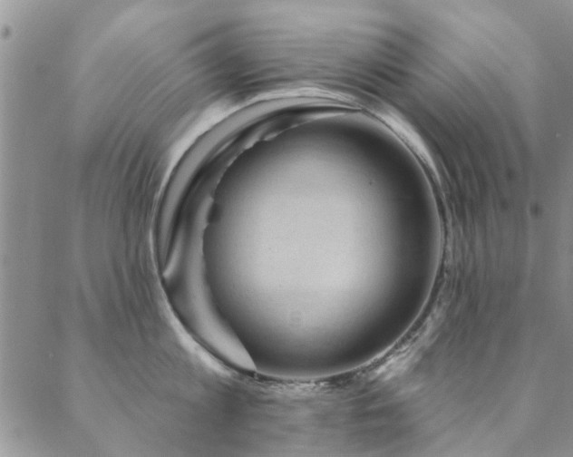 X0000088880813200706081239