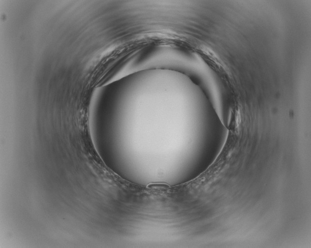 X0000088880822200706081238