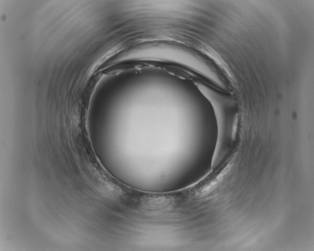 X0000088880826200706081238