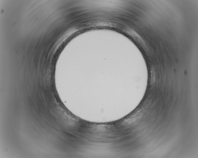 X0000088880828200706081238