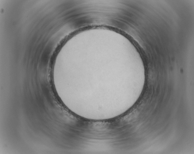 X0000088880832200706081238