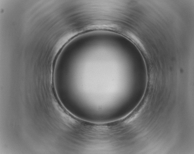 X0000088880844200706081239