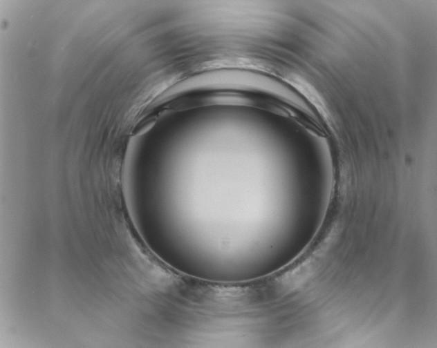 X0000088880849200706081239