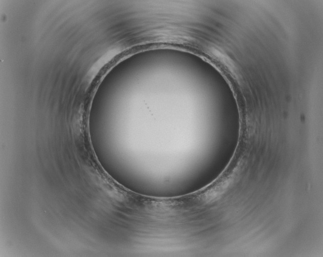 X0000088880875200706081238