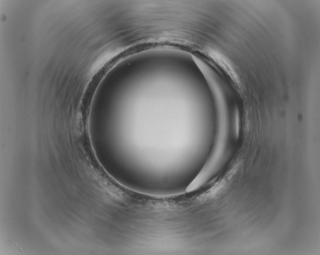 X0000088880876200706081238