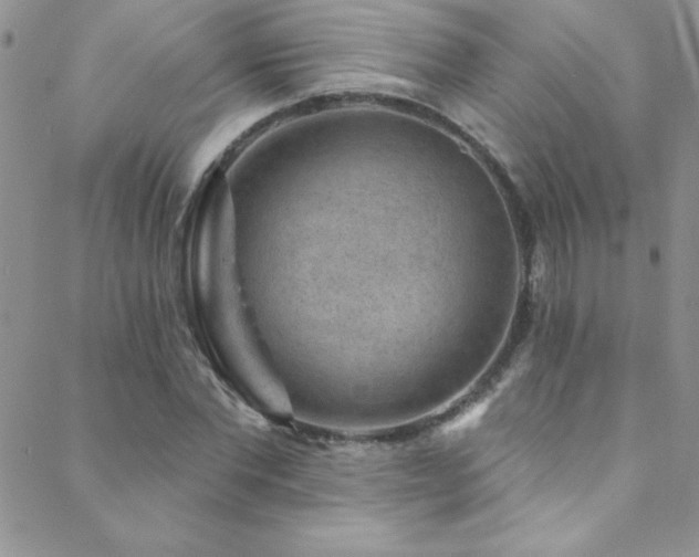 X0000088880877200706081238