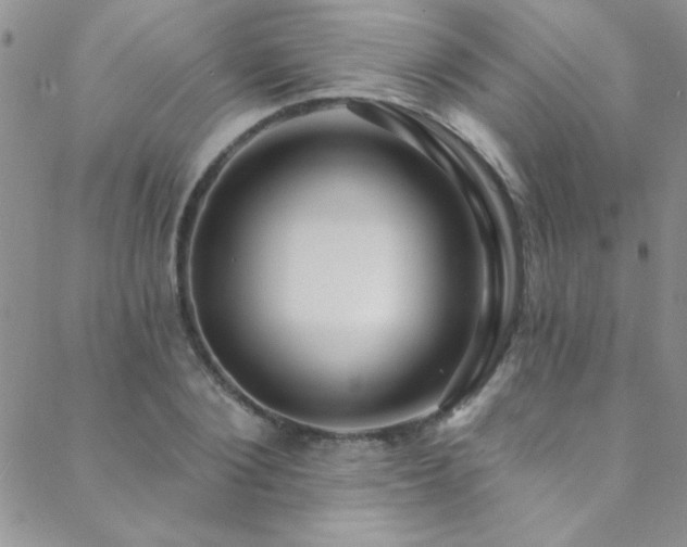 X0000088880884200706081238