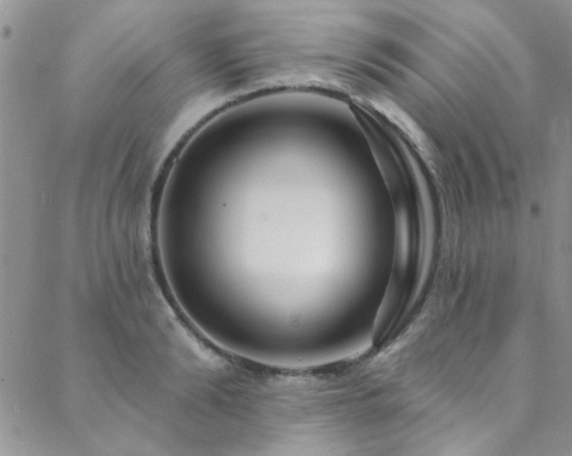 X0000088880894200706081238