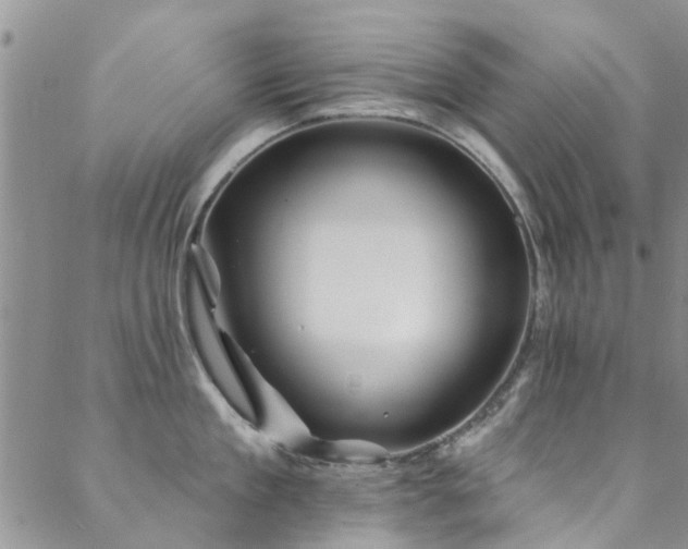 X0000088880909200706081237