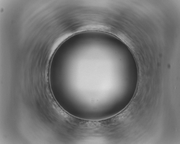 X0000088880912200706081237