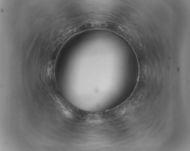 X0000088880914200706081237