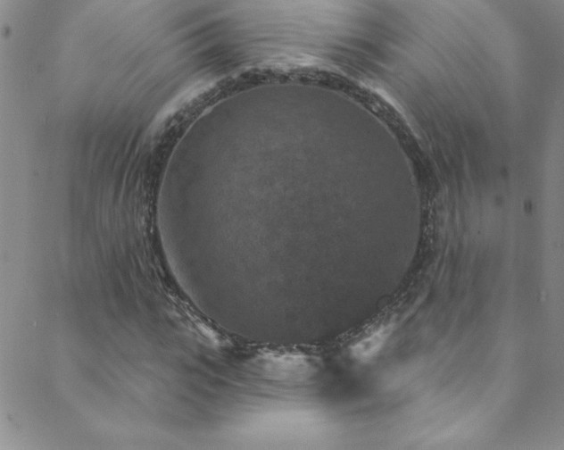 X0000088880919200706081237
