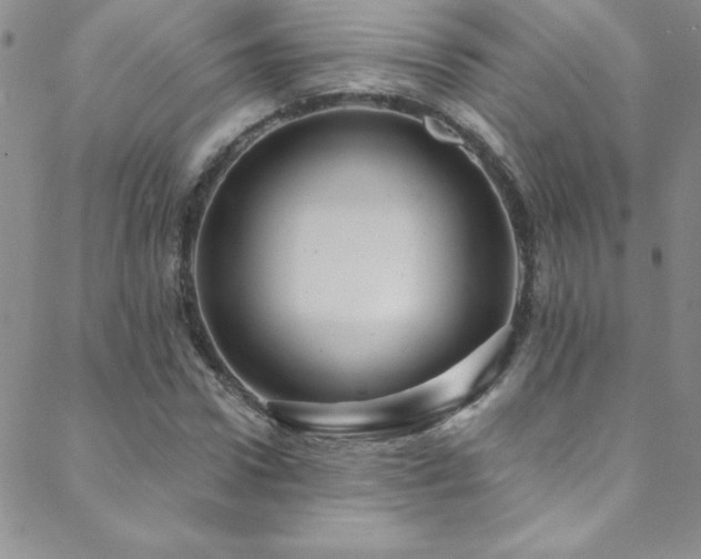 X0000088880922200706081237