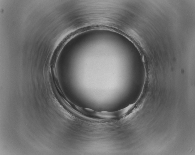 X0000088880924200706081237