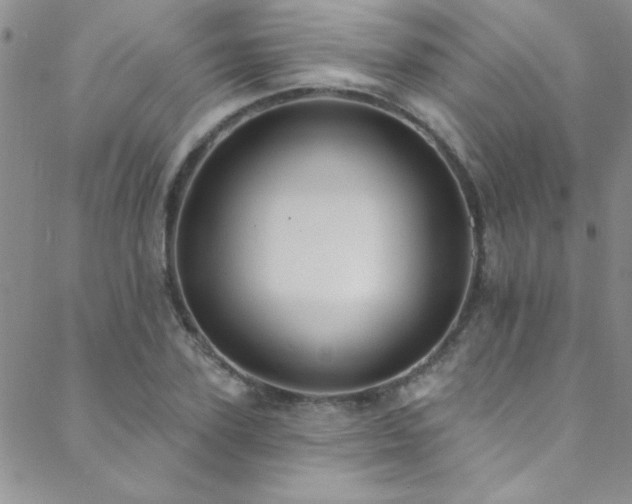 X0000088880931200706081237