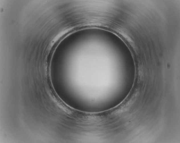 X0000088880933200706081237