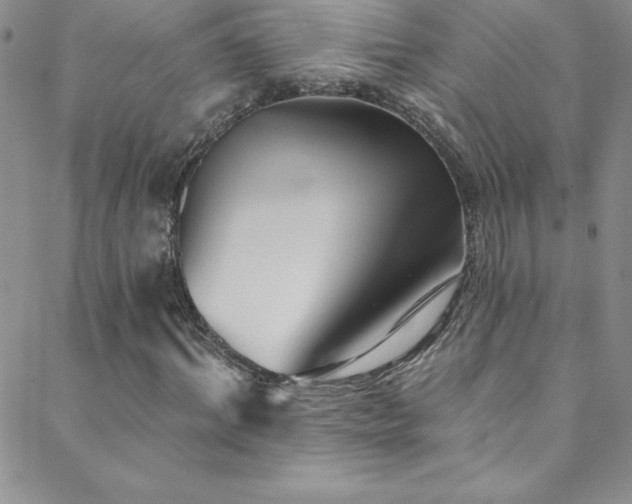 X0000088880964200706081237