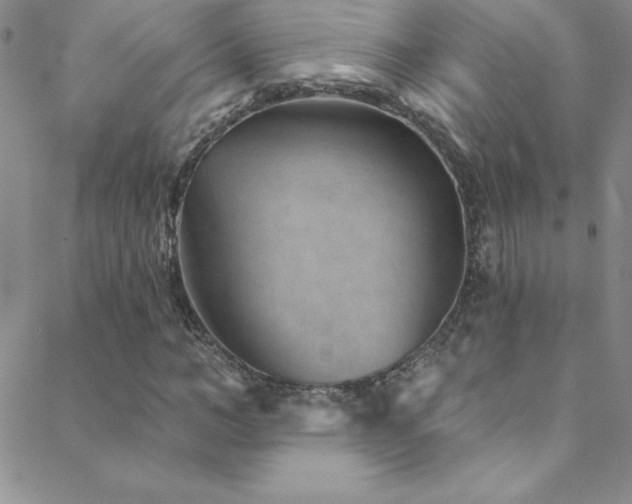 X0000088880966200706081237