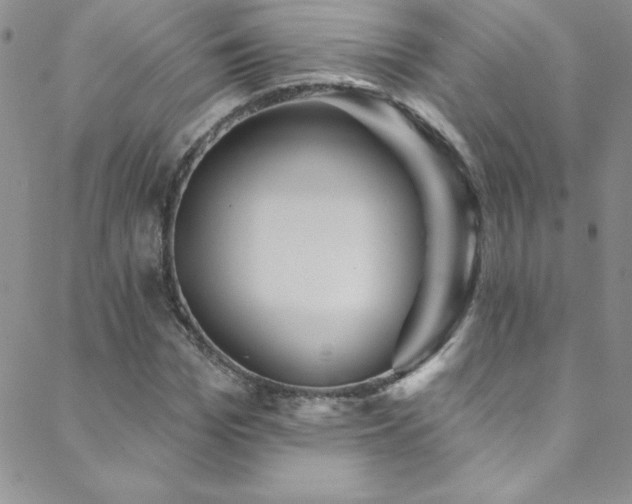 X0000088880969200706081237