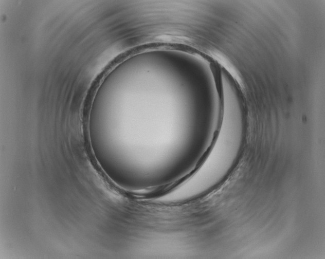 X0000088880972200706081236