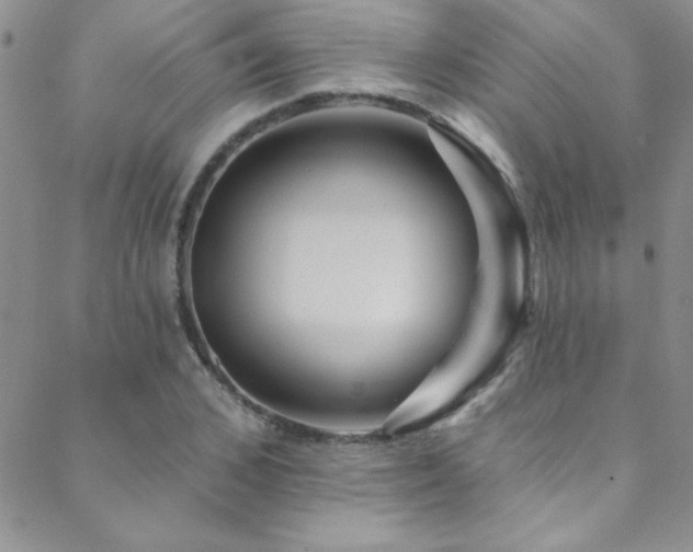 X0000088880976200706081236
