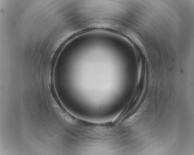 X0000088880984200706081236