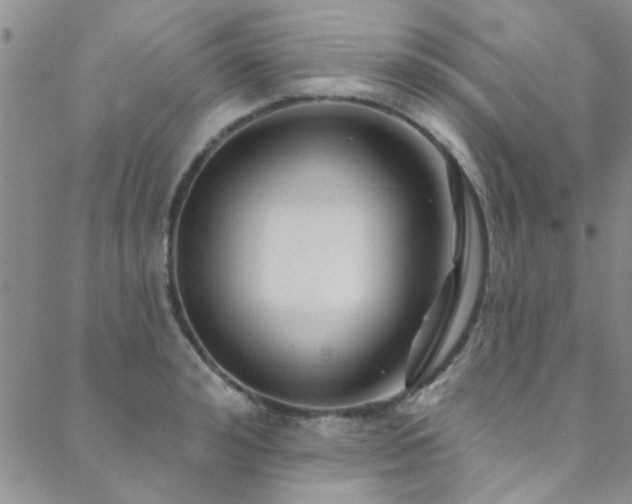 X0000088880992200706081236