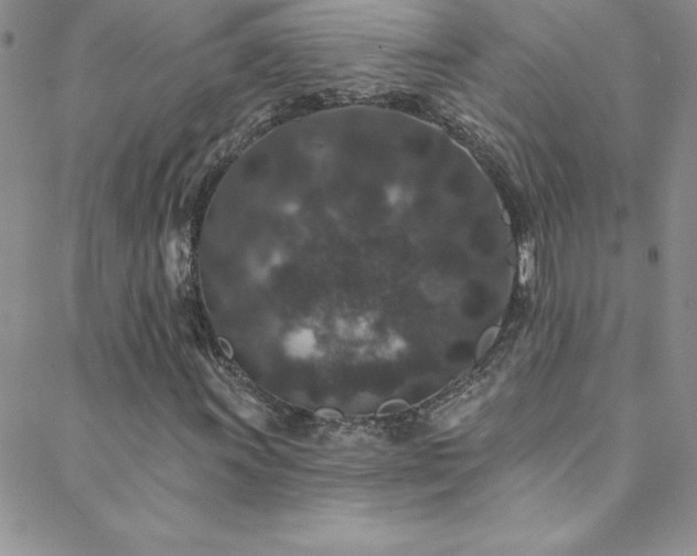 X0000088881011200706081235