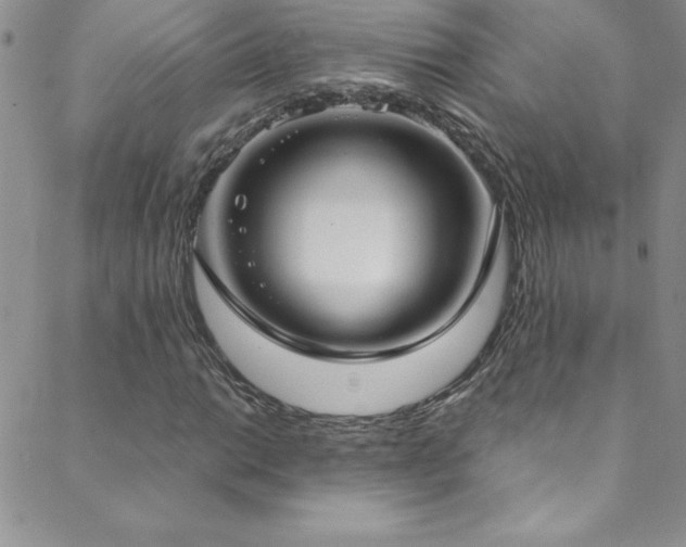 X0000088881014200706081235
