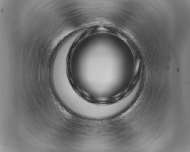 X0000088881018200706081235