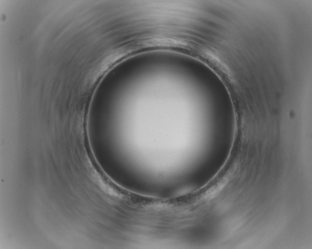 X0000088881033200706081235