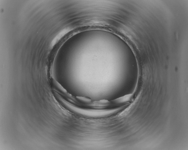 X0000088881066200706081235