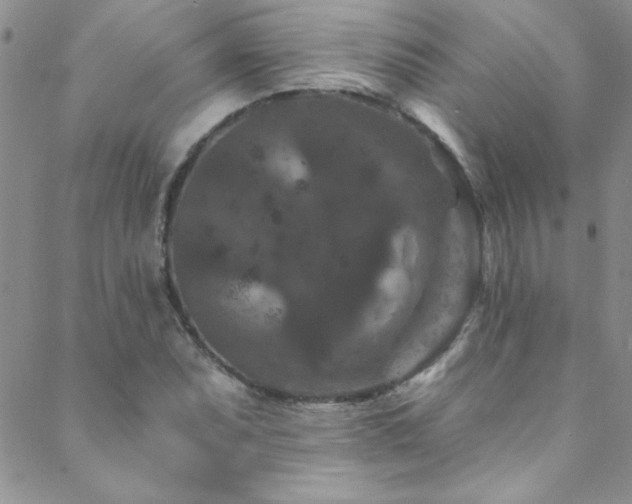X0000088881071200706081235