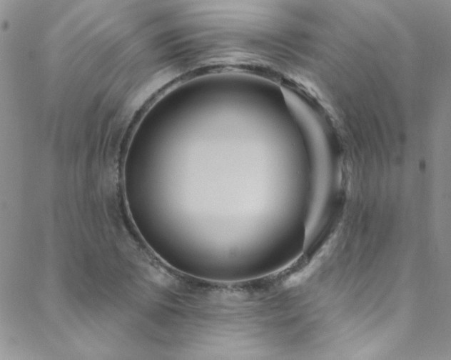 X0000088881073200706081235