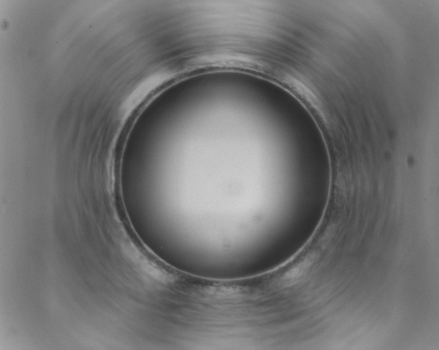 X0000088881082200706081235