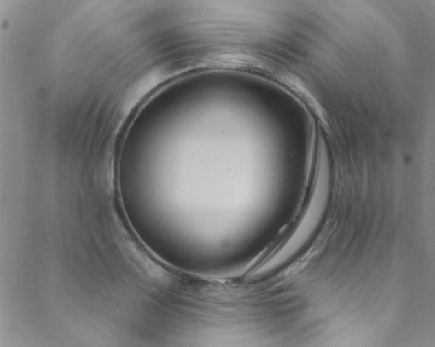 X0000088881083200706081235