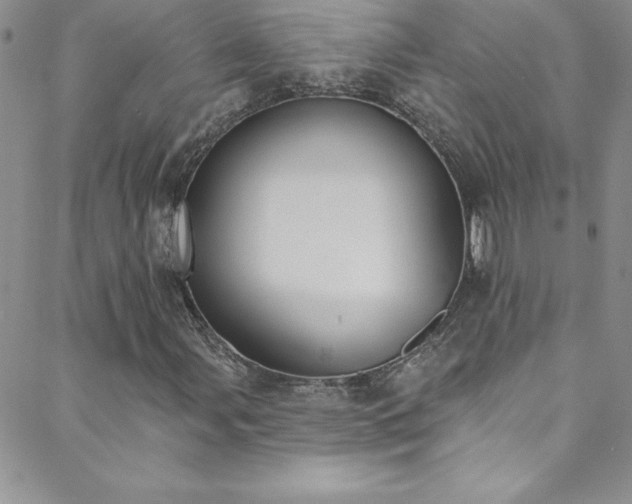 X0000088881107200706081234