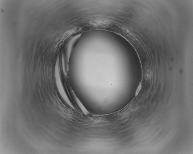 X0000088881108200706081234