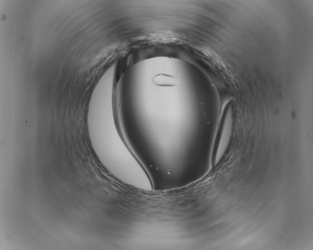 X0000088881110200706081234