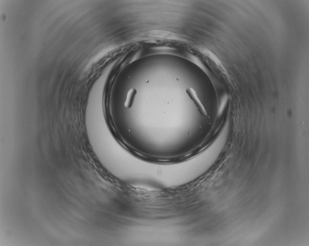 X0000088881112200706081234