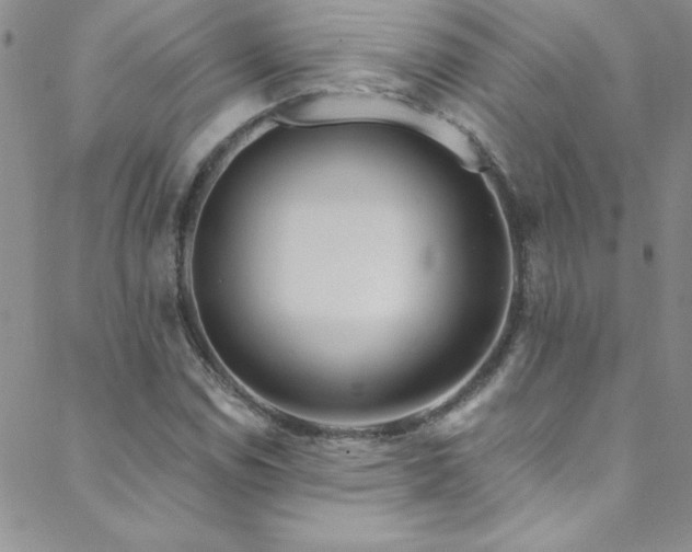 X0000088881114200706081234