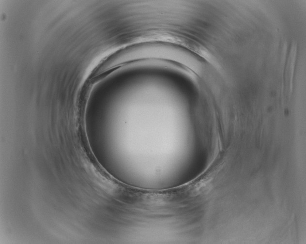 X0000088881116200706081234