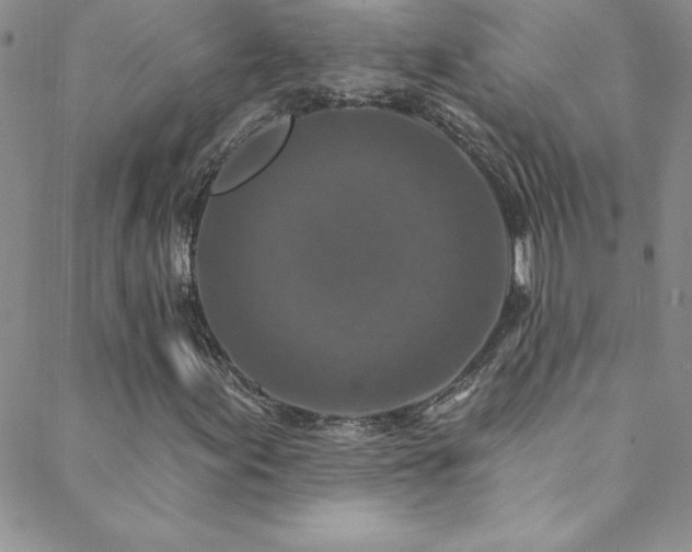 X0000088881155200706081233