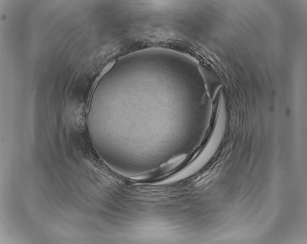 X0000088881156200706081233