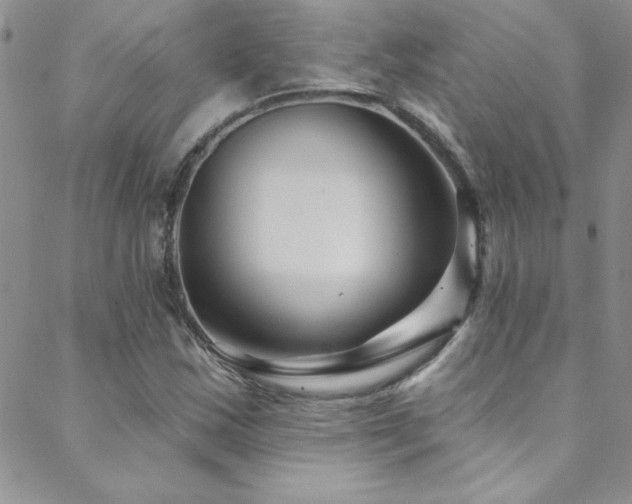 X0000088881163200706081233