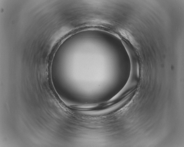 X0000088881164200706081233