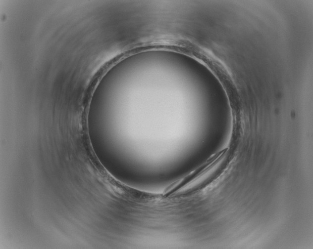 X0000088881166200706081233