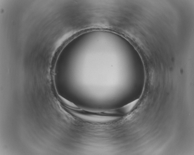 X0000088881168200706081233