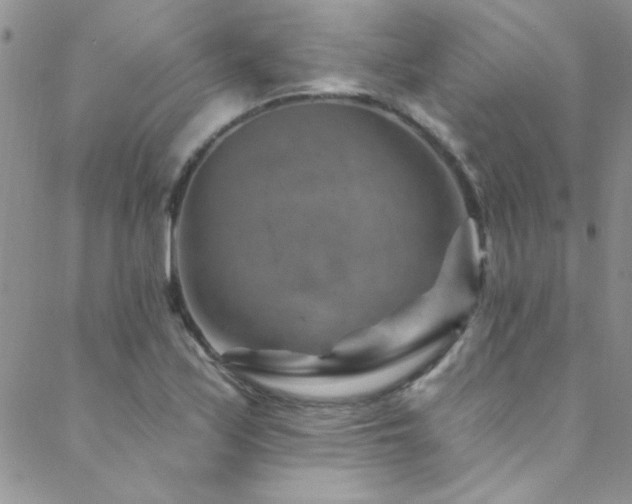 X0000088881171200706081233