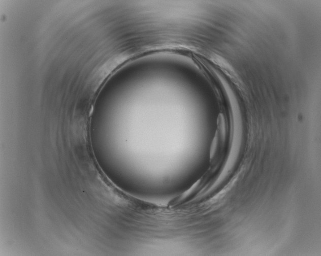 X0000088881177200706081233